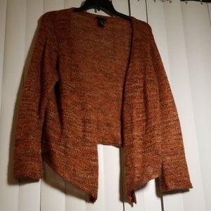 Metallic sweater browns and reds and gold